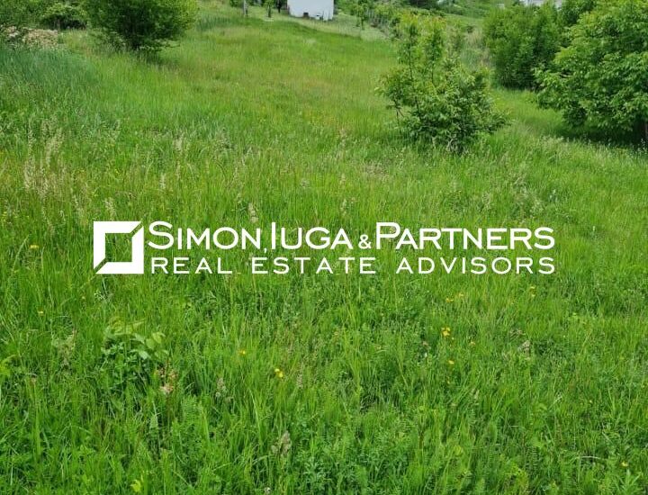 Find properties 13 bf984057d84f470080bfb4219c57af4a 3